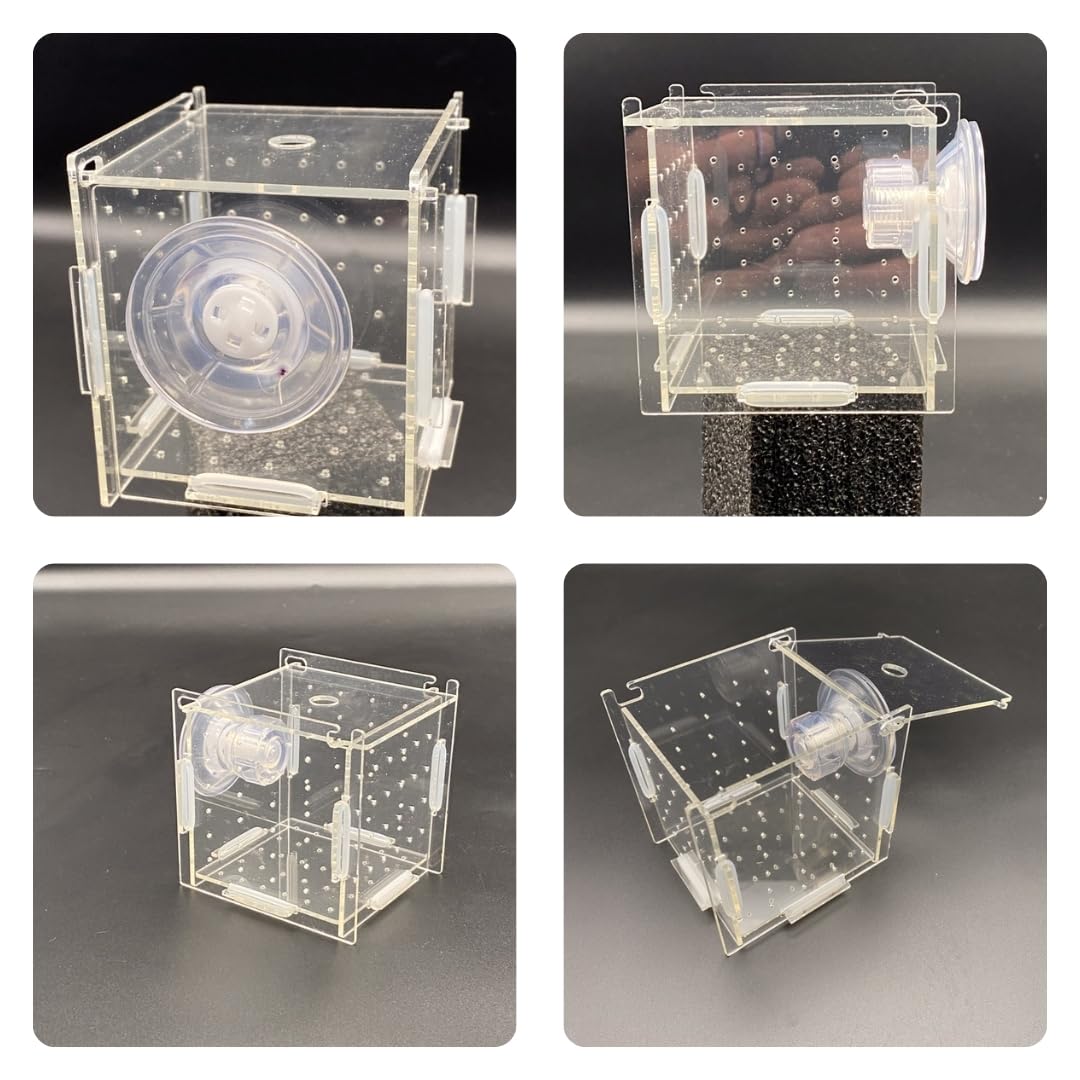 Amazon | スタートサイド 稚魚 水槽内用 繁殖隔離ボックス 隔離吸盤